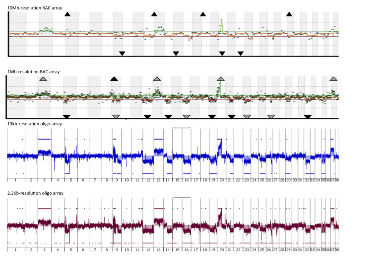 Array resolution increases