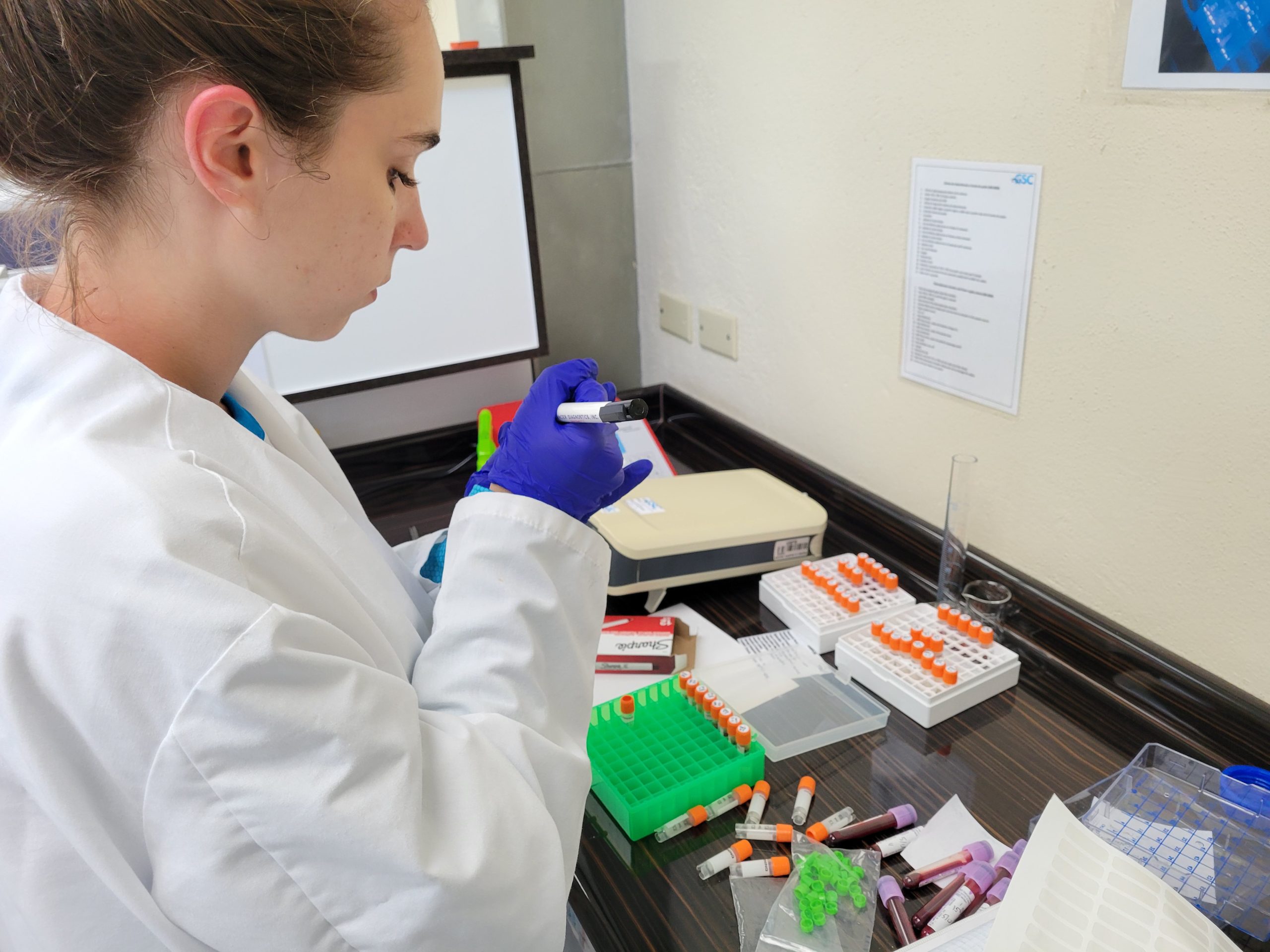 Isabella working in the lab.